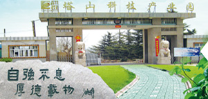 como bugar slots online